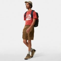 Η καλύτερη συμφωνία 🥰 T-Shirts | Μπλούζα κοντό μανίκι The North Face Him Ανδρικό T-shirt TANDORI SPICE RED 👍 -Nike πωλήσεων the north face m ss him btl src tee tandori spce 5